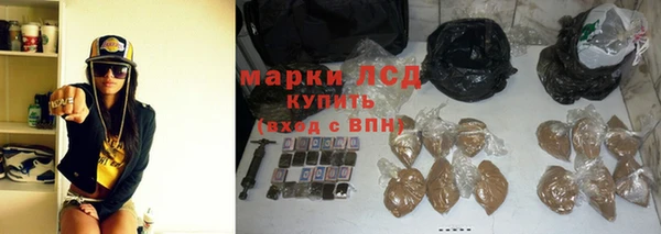 трава Аркадак
